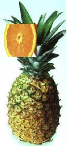 Frullato ananas e arancia