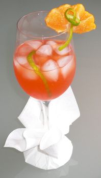 APEROL ROSE 21.jpg