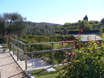 BARDOLINO agriturismo 5.jpg