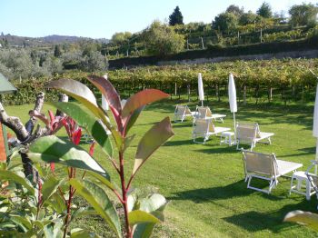 BARDOLINO agriturismo.jpg