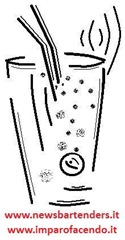 Bicchiere stilizzato Highball2