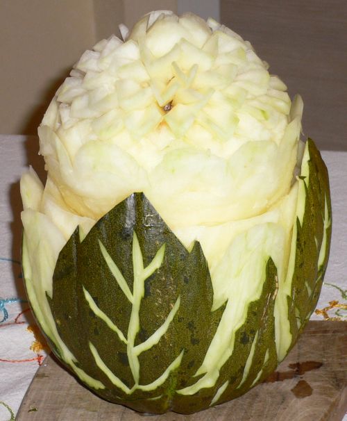 Fiore melone con foglie  3.jpg