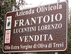 Frantoio LUCENTINI