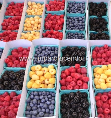 Frutti di Bosco