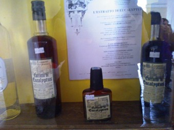 Liquori d'erbe4