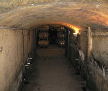 MAIORCA 20_27-04-07 020.jpg