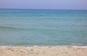 MAIORCA Appartamenti Ses DÃ lies MARE.jpg