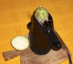 Melanzana Naso Lungo 001.jpg