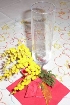 Mimosa festa donna 003.jpg