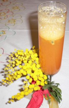 Mimosa festa donna 012.jpg