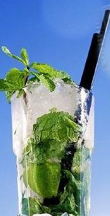 Mojito 5.jpg