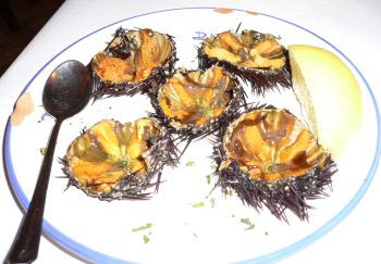 Ricci di mare Piatto.jpg