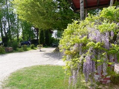 Ristorante Corte Bondeno, Sabbioneta (MN)1