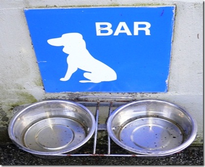 Cane al bar
