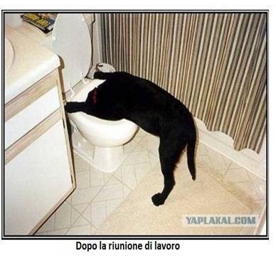 clip_image007