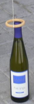 pesca la bottiglia 3.jpg